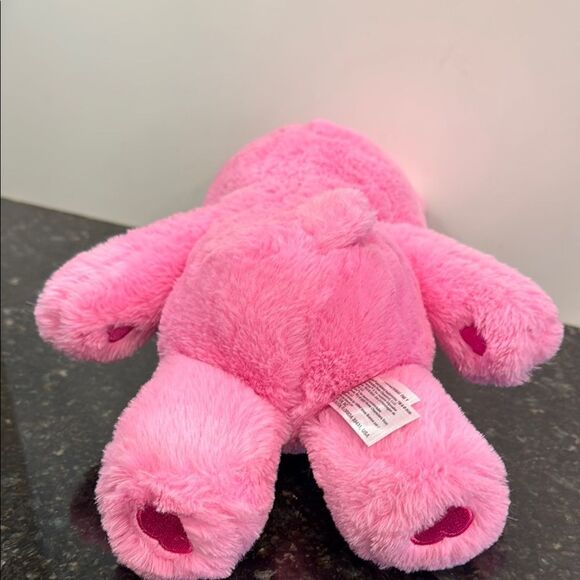 Care Bears -Cheer Bear Pink Rainbow Plush. Size 13” - Picture 8 of 10